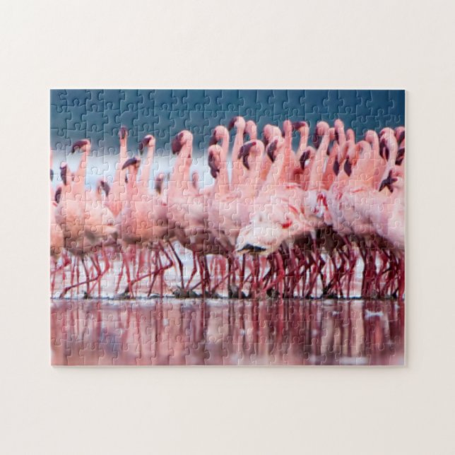 Große Gruppe kleiner Flamingos (Horizontal)