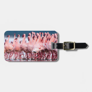 Große Gruppe kleiner Flamingos Gepäckanhänger
