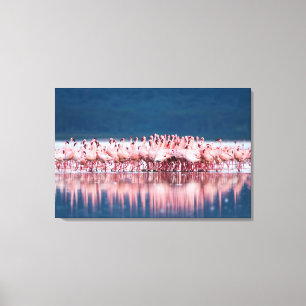 Große Gruppe von Zwergflamingos Leinwanddruck