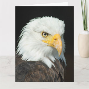 Große Grußkarte - Natur Vogel Adler Karte
