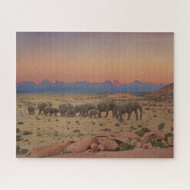Große Herde von Elefanten Sonnenuntergang Natur Fo (Horizontal)