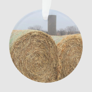 Große Heuschnupfen auf dem landwirtschaftlichen Fe Ornament