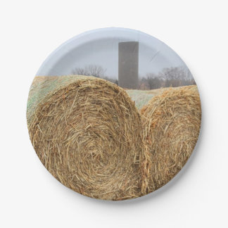Große Heuschnupfen auf dem landwirtschaftlichen Fe Pappteller