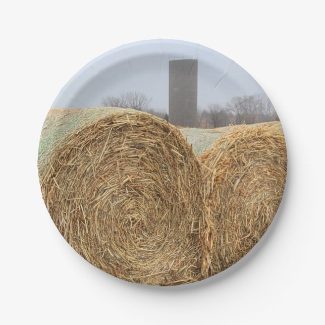 Große Heuschnupfen auf dem landwirtschaftlichen Fe Pappteller (Vorderseite)