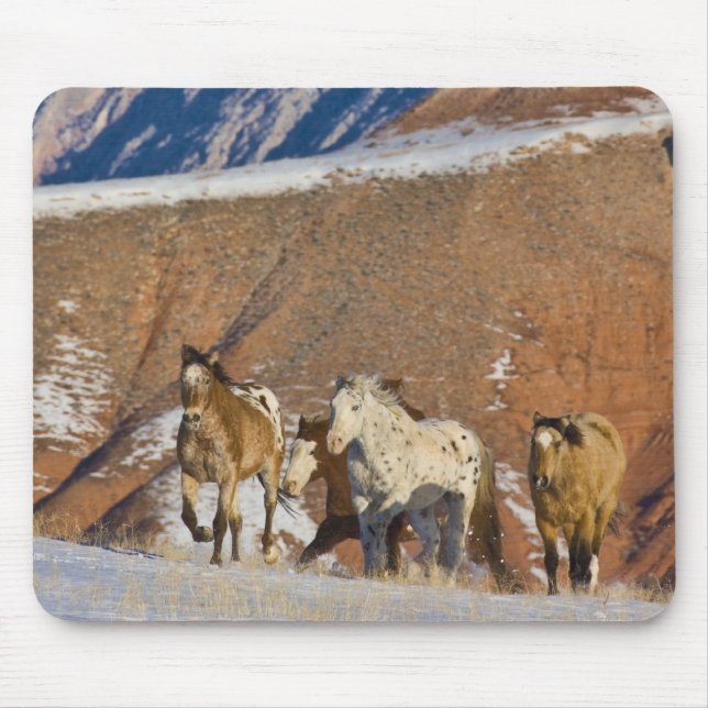Große Hornberge, Pferde laufen Mousepad (Vorne)
