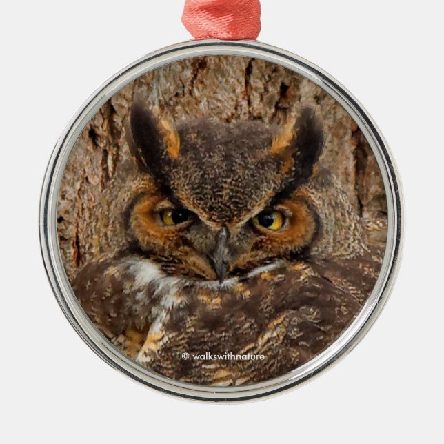 Große Horned Owl im Douglas Fir Ornament Aus Metall (Vorne)