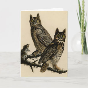 Große Horned Owl von Audubons Vögeln von Amerika Karte