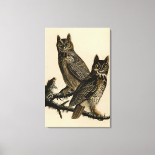 Große Horned Owl von Audubons Vögeln von Amerika Leinwanddruck