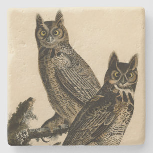 Große Horned Owl von Audubons Vögeln von Amerika Steinuntersetzer