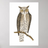 Große Horned Owl Zeichnend Kunst