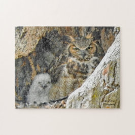 Große Hornhaut mit Owlet