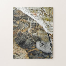 Große Hornhaut mit Owlet