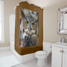 Große Hornschale (Bubo virginianus)