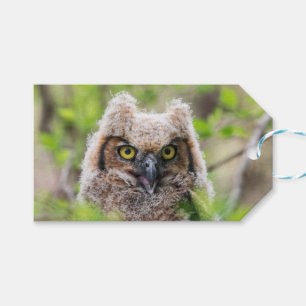 Große Hornschale Geschenkanhänger