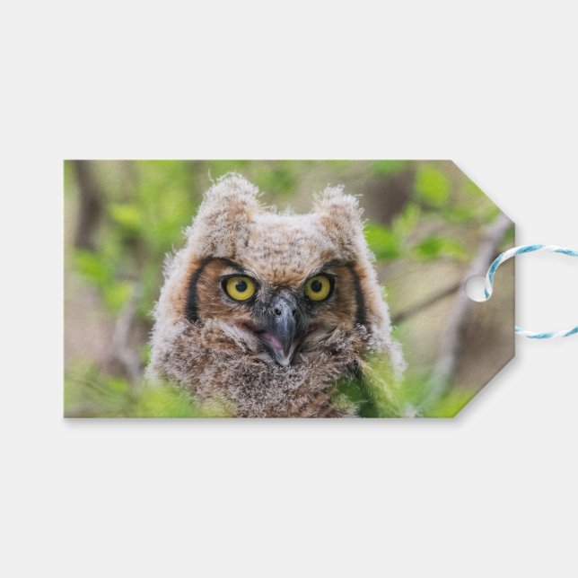 Große Hornschale Geschenkanhänger (Vorderseite (Horizontal))