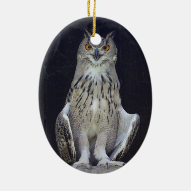 Große Hornschale Keramikornament (Hinten)