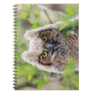 Große Hornschale Notizblock