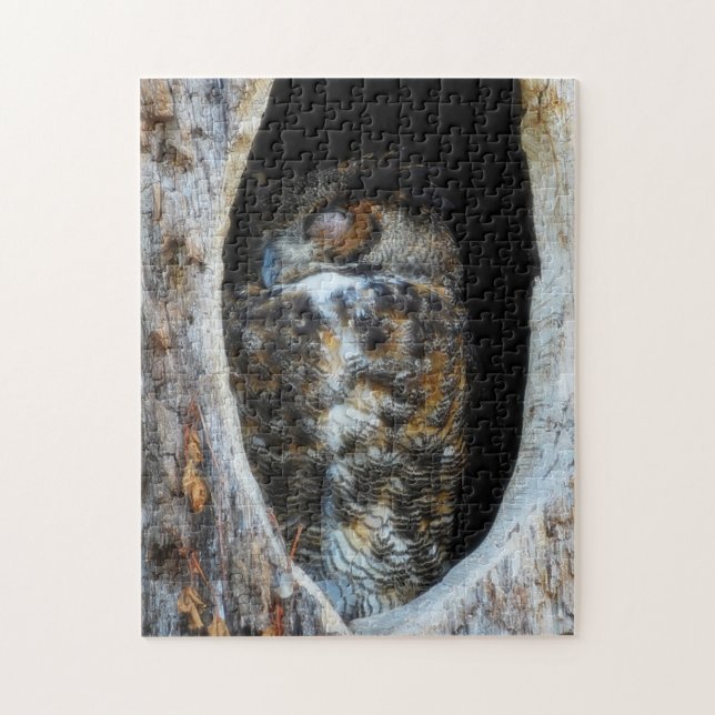 Große Hornschüssel Schlafen in einem Baumloch (Vertikal)