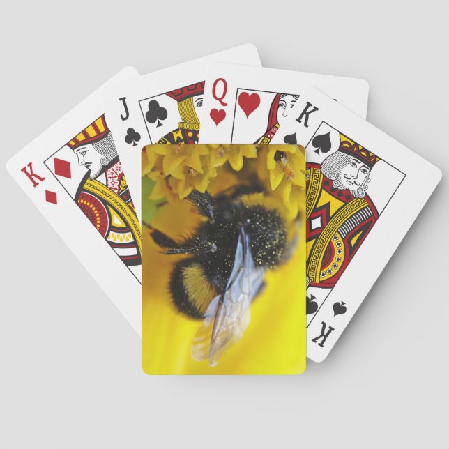 Große Hummel Spielkarten (Rückseite)