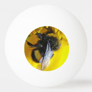 Große Hummel Tischtennisball