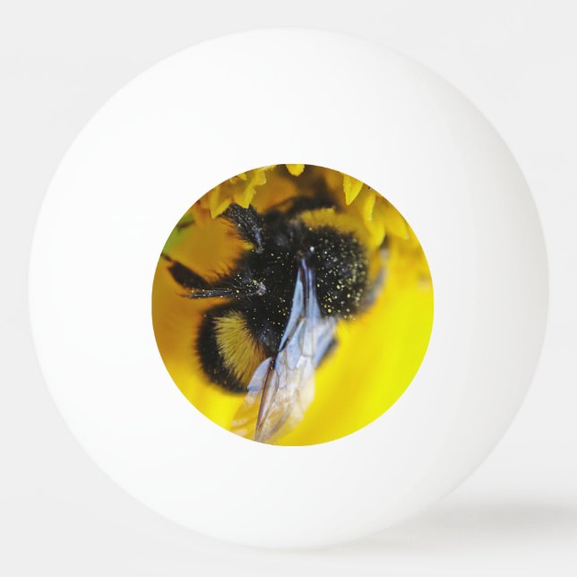 Große Hummel Tischtennisball (Vorderseite)