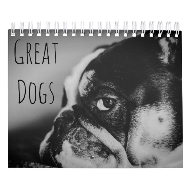 Große Hunde in Schwarz und Weiß Kalender (Titelbild)