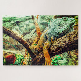 Große Iguana