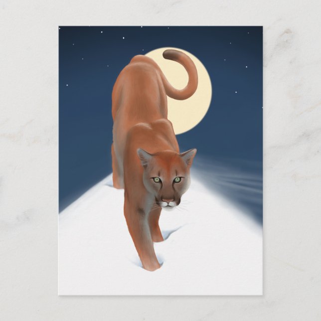 Große Katze im Winterschnee - Löwe Postkarte (Vorderseite)