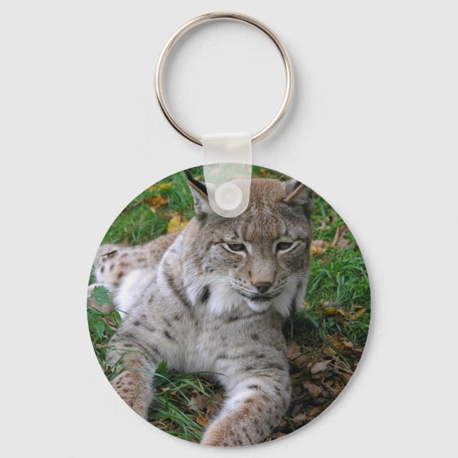 Große Katzen - 11 Schlüsselanhänger (Vorderseite)