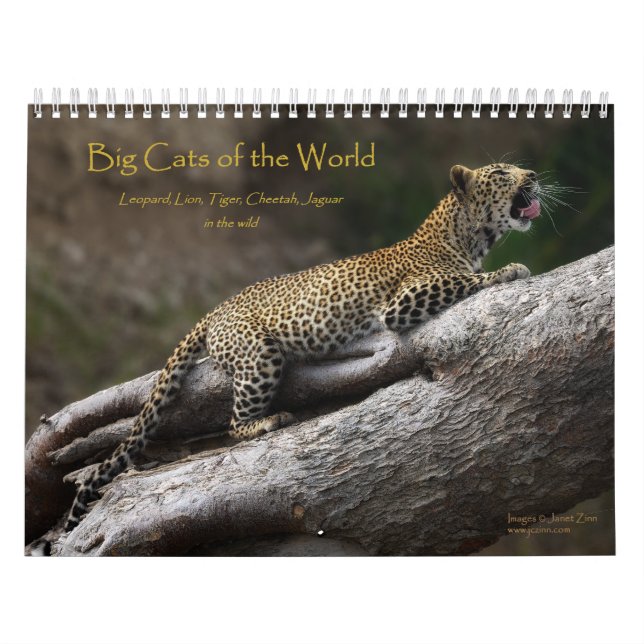 Große Katzen des Weltkalenders Kalender (Titelbild)