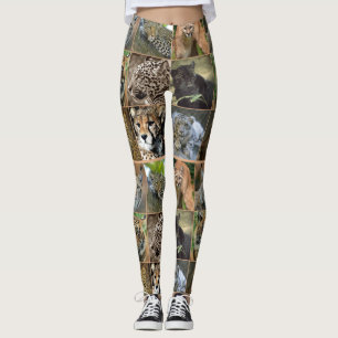 GROSSE KATZEN LEGGINGS