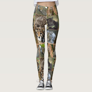 GROSSE KATZEN LEGGINGS