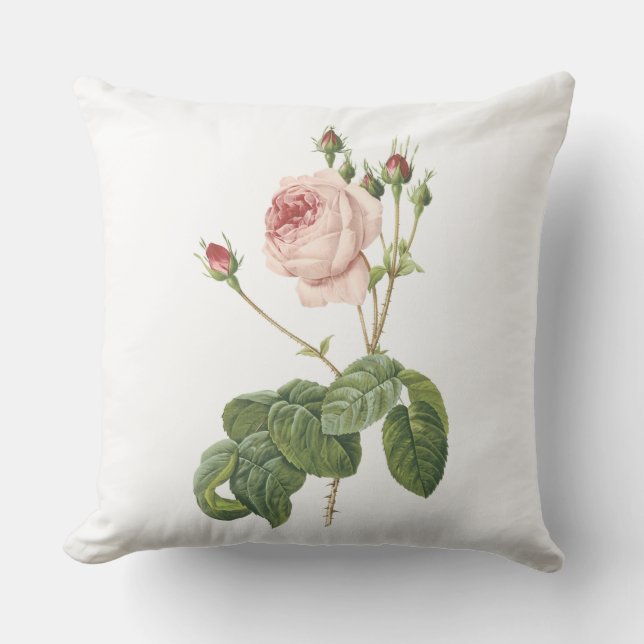 große Kohl-leaved Rose durch Redouté Kissen Für Draußen (Vorderseite)
