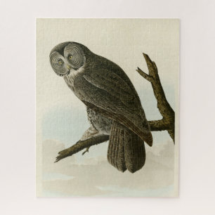 Große krummige Schale von Audubon Vögeln in Amerik