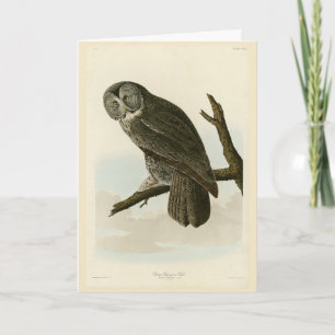 Große krummige Schale von Audubon Vögeln in Amerik Karte