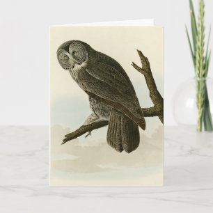 Große krummige Schale von Audubon Vögeln in Amerik Karte