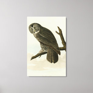 Große krummige Schale von Audubon Vögeln in Amerik Leinwanddruck