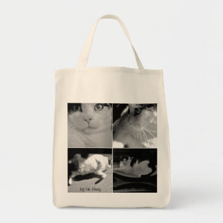 GROSSE LEBENSMITTELGESCHÄFT-TASCHEN-TASCHE FAT TRAGETASCHE