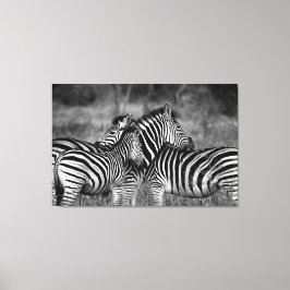 Große Leinwand Print - afrikanisches Zebra