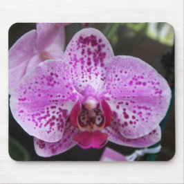 Große lila Orchideen-Mausunterlage Mousepad