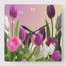 Große Lila und weiße Tulpen