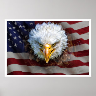 Große mächtige USA Eagle FLAG Poster
