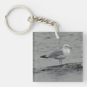 Große Möwe Schlüsselanhänger