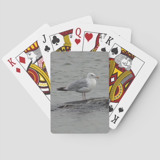 Große Möwe Spielkarten (Rückseite)