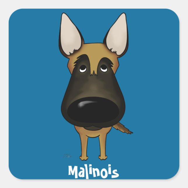 Große Nase Malinois Quadratischer Aufkleber (Vorderseite)