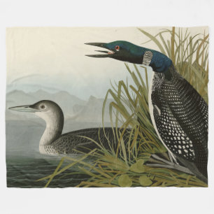 Große Nordtaucher Loon Audubon Birds of America Fleecedecke