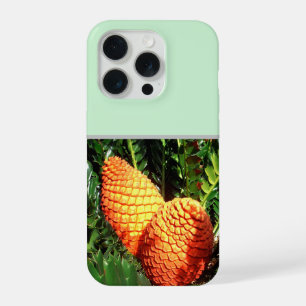 Große orange afrikanische Samenzapfen, iPhone 15 Pro Hülle