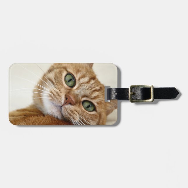 Große orange Miezekatze Gepäckanhänger (Vorderseite horizontal)