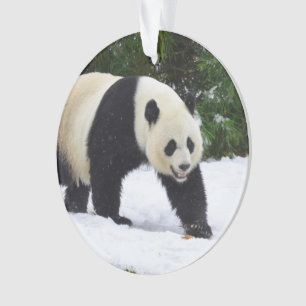 Große Pandas Smithsonian im Schnee Ornament