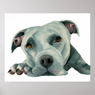 Große Pitbull-HundeAquarell-Malerei Ol Kopf-  Poster